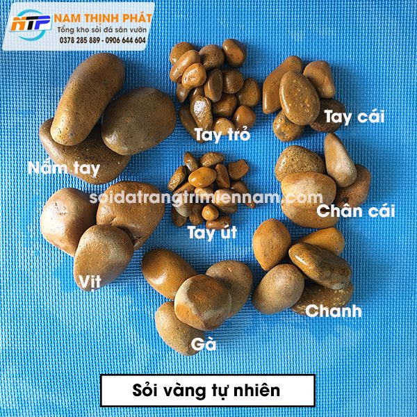 Sỏi vàng tự nhiên