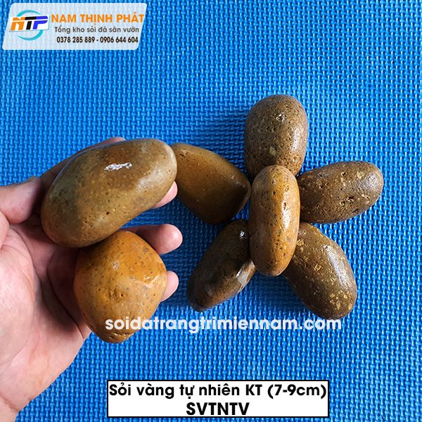 Sỏi vàng tự nhiên